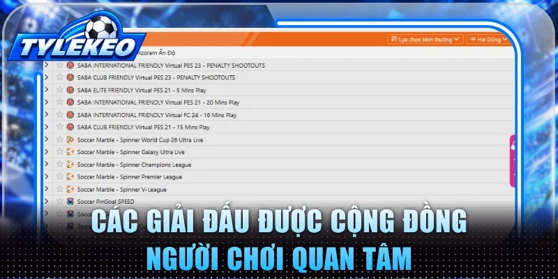 Các giải đấu được cộng đồng người chơi quan tâm