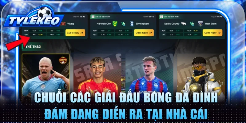 Chuỗi các giải đấu bóng đá đình đám đang diễn ra tại nhà cái
