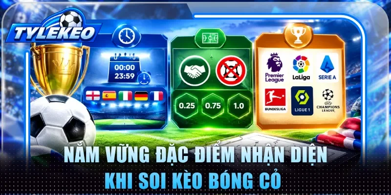 Nắm vững đặc điểm nhận diện khi soi kèo bóng cỏ