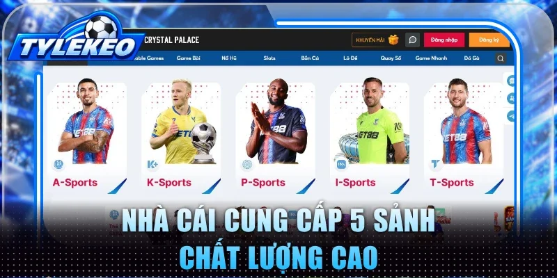 Nhà cái cung cấp 5 sảnh chất lượng cao