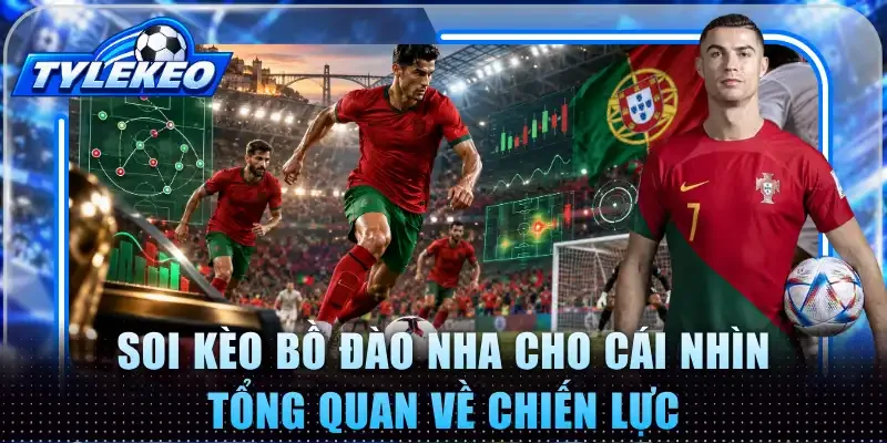 Soi kèo Bồ Đào Nha cho cái nhìn tổng quan về chiến lực