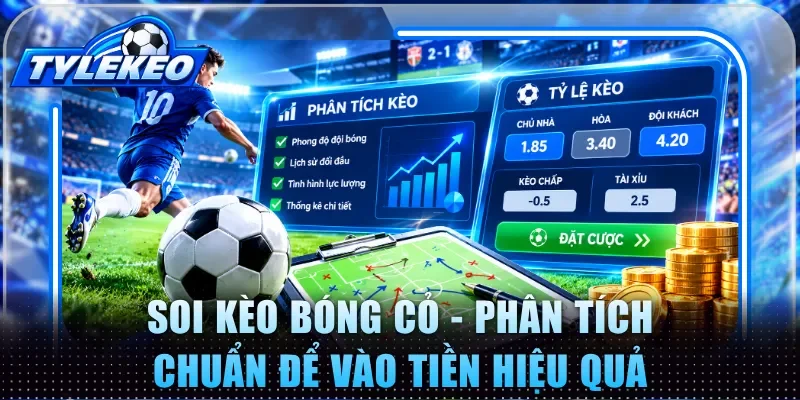 Soi kèo bóng cỏ