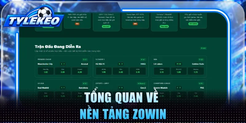 Tổng quan về nền tảng Zowin