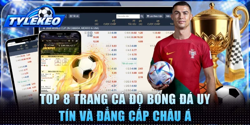 Trang cá độ bóng đá
